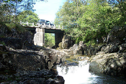 Forestry Bridge