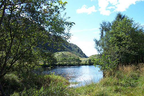 River Callop